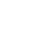 se-icon-3