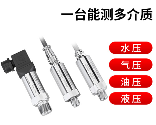 P300首图1